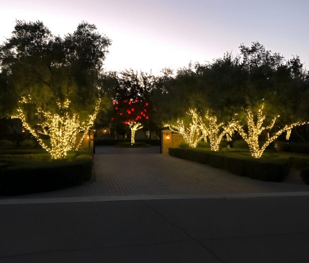 Trees decorated with white lights at dusk.